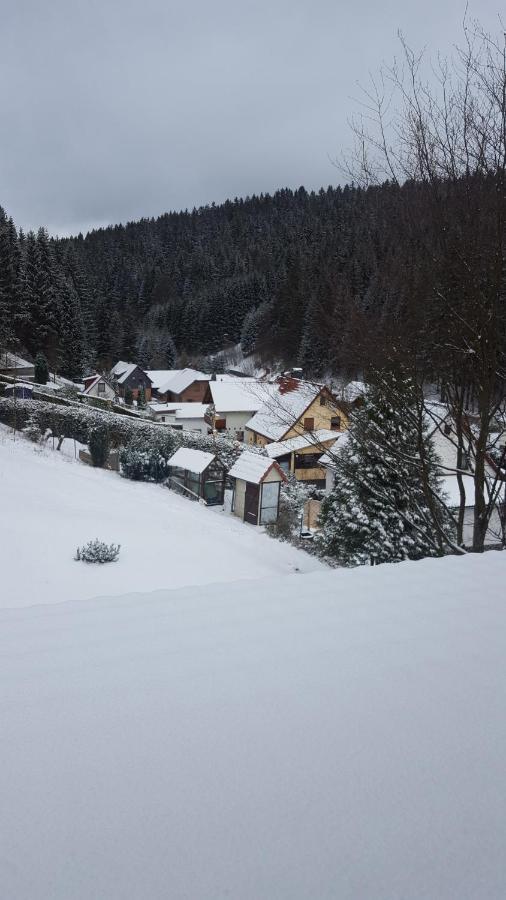 Monteurwohnung Aroba Fehrenbach Zewnętrze zdjęcie