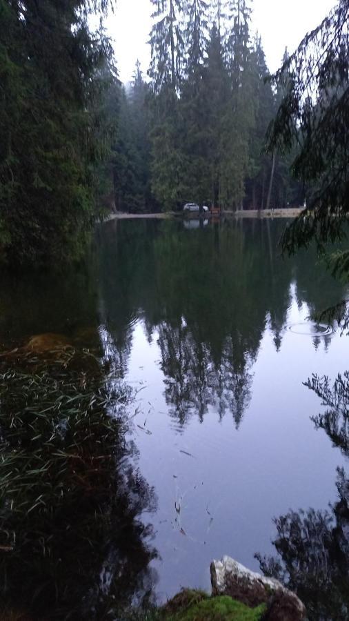 Monteurwohnung Aroba Fehrenbach Zewnętrze zdjęcie