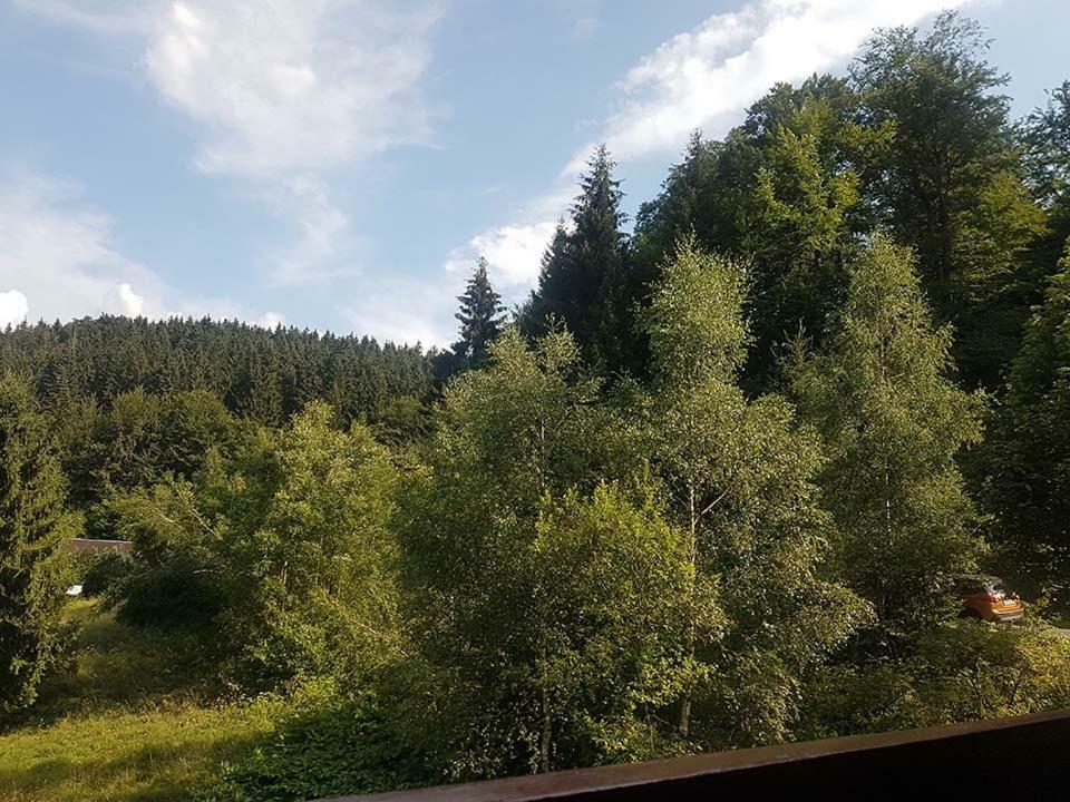Monteurwohnung Aroba Fehrenbach Zewnętrze zdjęcie
