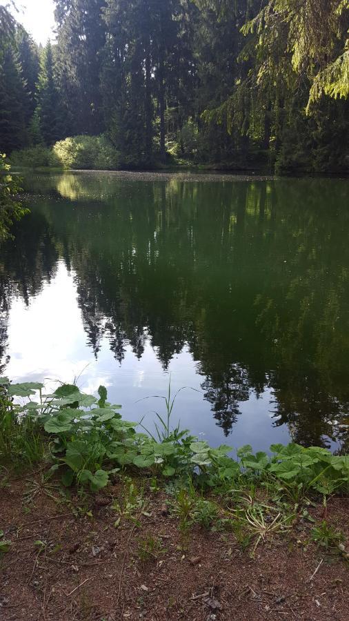 Monteurwohnung Aroba Fehrenbach Zewnętrze zdjęcie